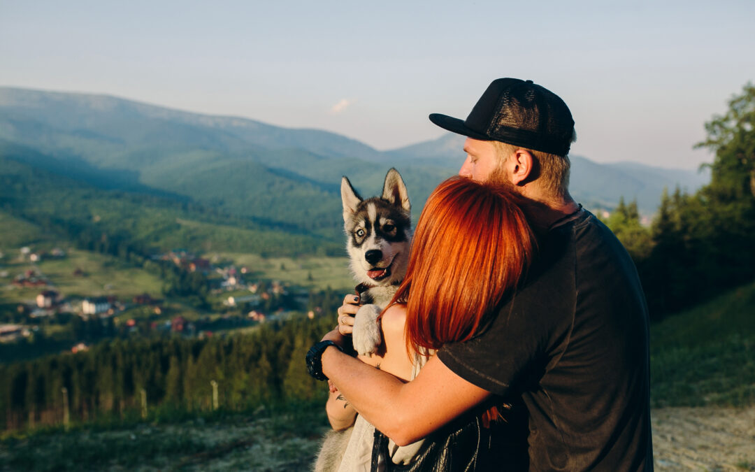Pet-Friendly Destinations in India: Travel with Your Furry Companions in 2025