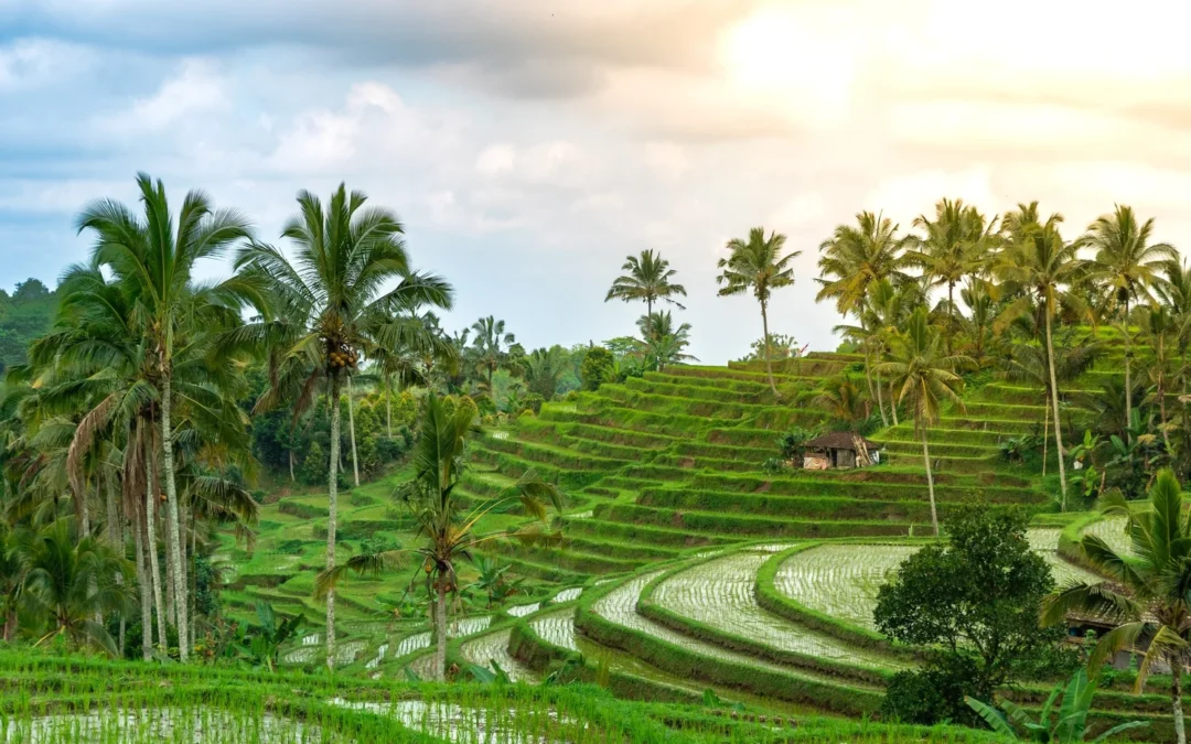 Top 10 Places to visit in Bali